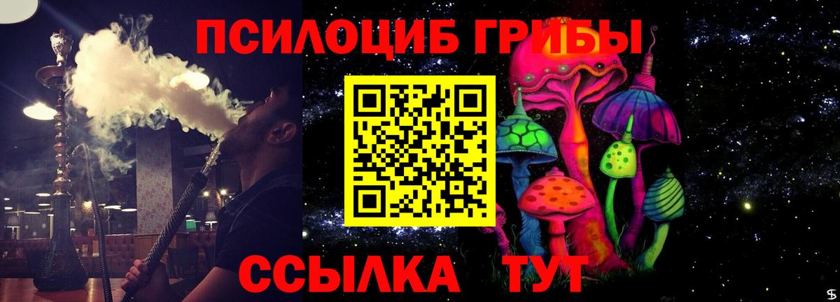 Псилоцибиновые грибы прущие грибы Екатеринбург