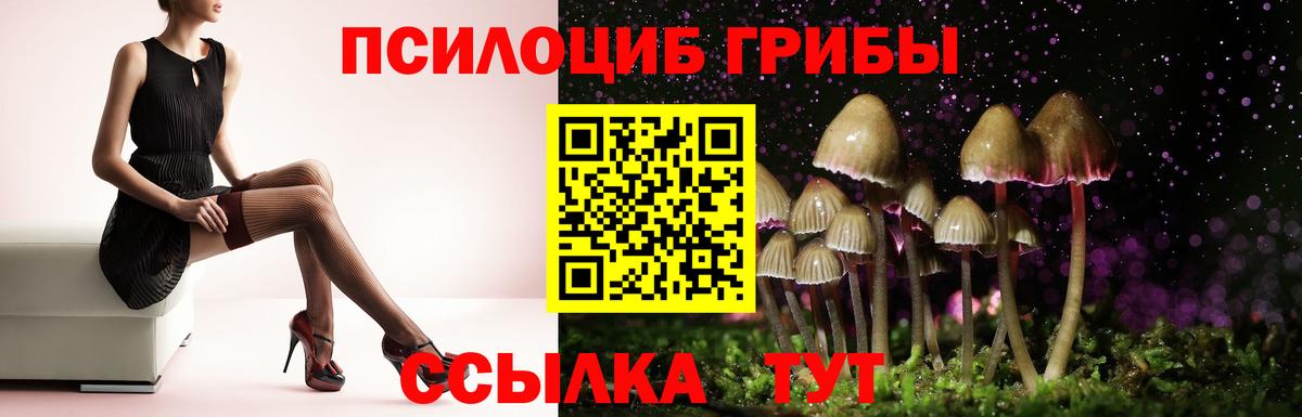 купить наркоту  Вход с VPN  Екатеринбург  Галлюциногенные грибы MAGIC MUSHROOMS 